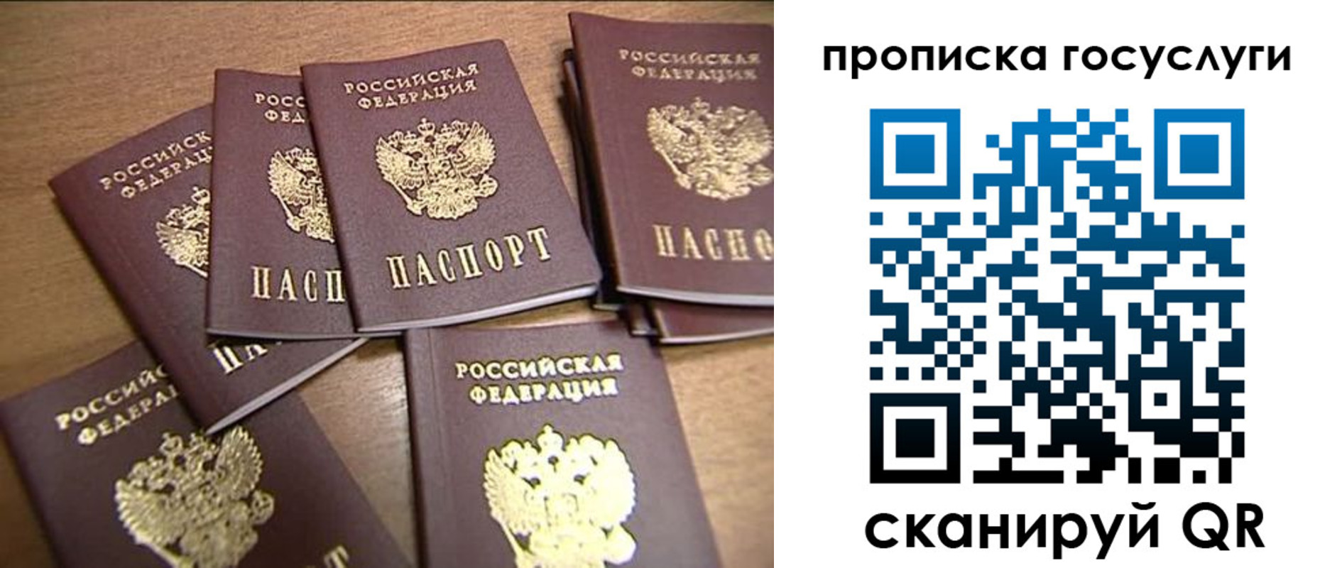 прописка ребенка в Ростове