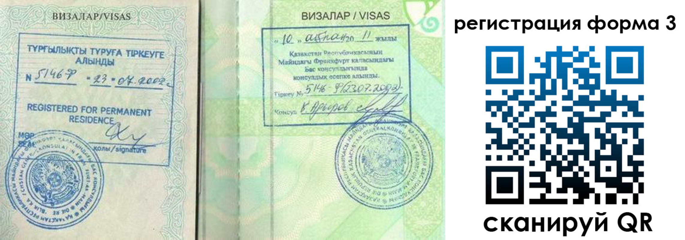 прописка гарантия в Ростове